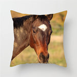 Horse Cushion Pillowcases