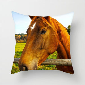 Horse Cushion Pillowcases