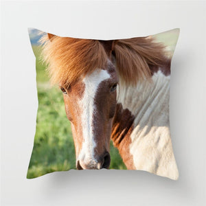 Horse Cushion Pillowcases